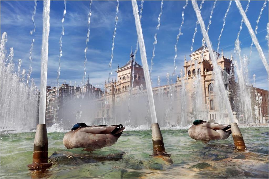 Atico La Antigua باياذوليد المظهر الخارجي الصورة
